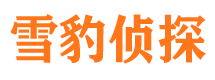 栾川资产调查